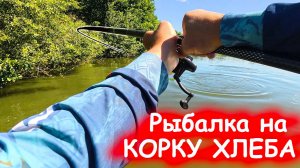 Рыбалка на КОРКУ ХЛЕБА! Я ЕГО ТАКИ ДОСТАЛ!  Амур и карп РАЗГИБАЕТ КРЮЧКИ, ловля в 2026