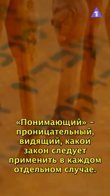 Недельная глава Торы // Дварим