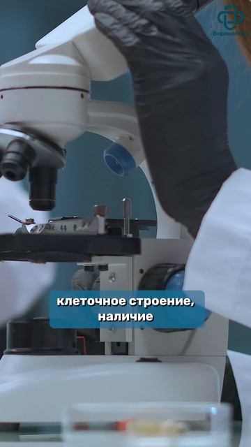 Как удаляются родинки? #родинки #дерматолог #дерматология #врач #операция #медицина #веронамед смотреть онлайн