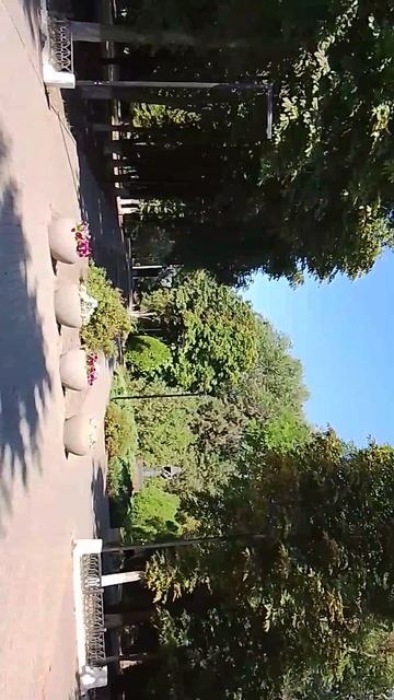 741.mp4 смотреть онлайн