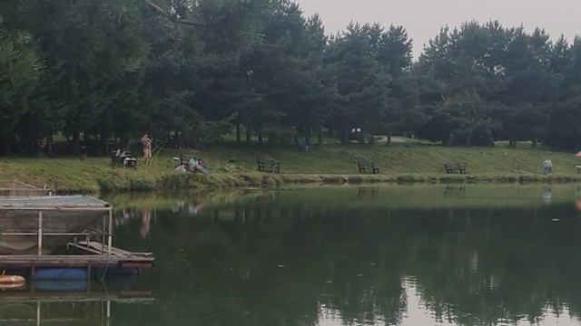 Поимка карпа на большом водоёме