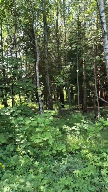 З/у с к.н. 50:28:0040111:1212, расположенный по адресу: МО, г.о. Домодедово, мкр. Барыбино
