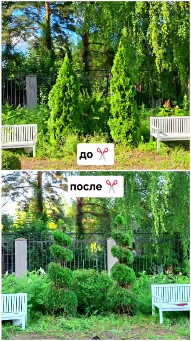 Стрижка растений