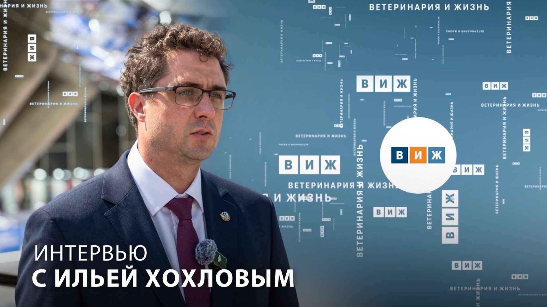 Цифровой щит для улья: как «Портал пчеловода» помогает защищать пасеки смотреть онлайн