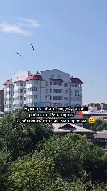 Риелтор — это не просто работа, а именно призвание🤠