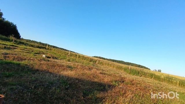 На даче, июль смотреть онлайн