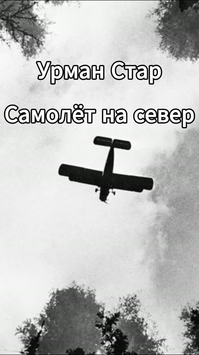 Самолёт на север