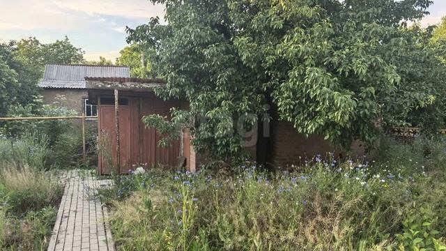 12997282 смотреть онлайн