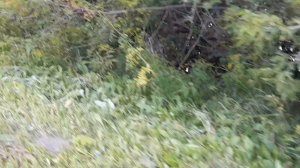 ЖЕСТЬ ЧТО ПРОИСХОДИТ С РЕКОЙ НАВОДНЕНИЕ ВСЕ ДОМА В ВОДЕ. САНАТОРИЙ ОБУХОВСКИЙ  !!!