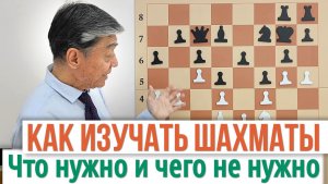 Как изучать шахматы?