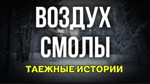 ВОЗДУХ СМОЛЫ| таежная история