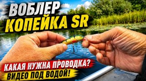 Воблер AQUA КОПЕЙКА SR. Какая нужна проводка? Видео под водой