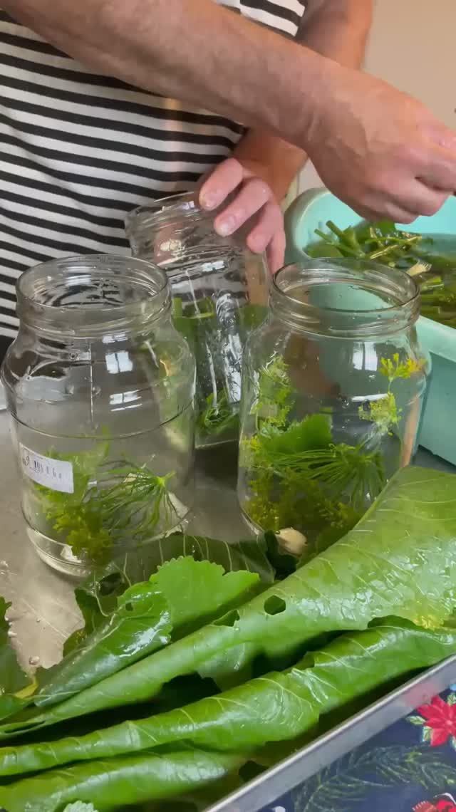 Солим огурцы на зиму