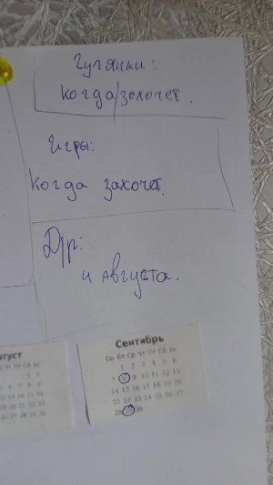 [My dog🐶]–Ну а сейчас дамы и господа будет...АД ДЛЯ СОБАКИ
