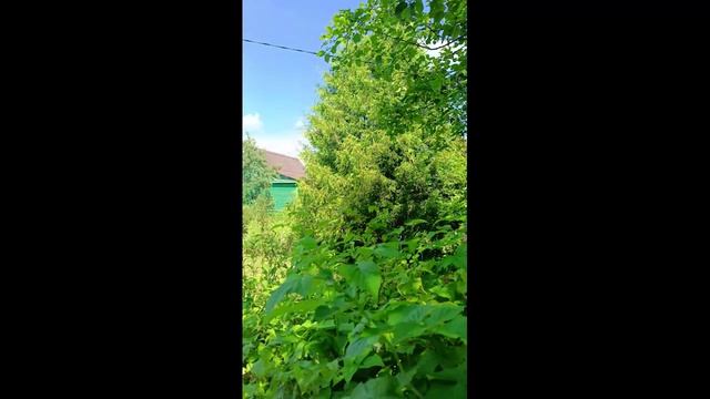 VID20260720134547 смотреть онлайн