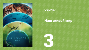 Наш живой мир 1 сезон 3 серия (документальный сериал, 2024)
