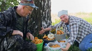 Привязалась собака 😱 и мы с охраной // нарвались на лисички // рецепт.