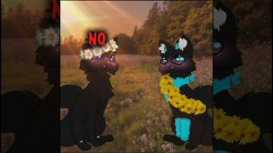 No..