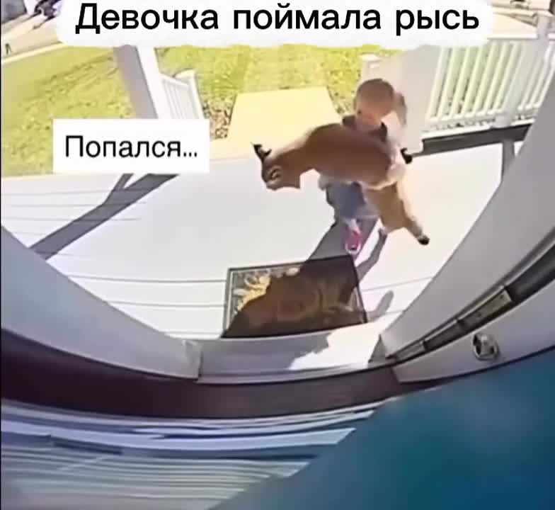 Teпеpь он домашний