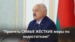 Лукашенко: Чего мы наручники будем надевать? В армию! На южную границу!