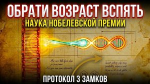 Одиннадцать минут в день, которые отматывают биологические часы. 🌈