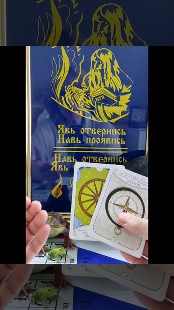 Совет дня🐸#татьянаясная#семья#маккарты смотреть онлайн