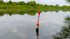 ПОПЛАВОЧНАЯ РЫБАЛКА НА ЛИНЯ В УСЛОВИЯХ ДИКОЙ ПРИРОДЫ