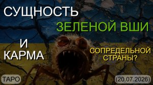 СУЩНОСТЬ ЗЕЛЕНОЙ ВШИ И КАРМА СОПРЕДЕЛЬНОЙ СТРАНЫ? (ТАРО. 20.07.2026)