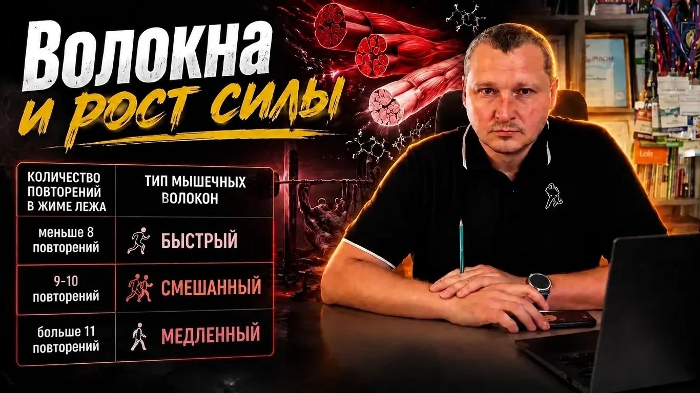 Тип мышечных волокон и рост силы / Обзор эксперимента