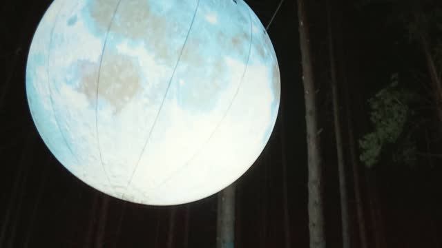 India Forest Fest 2026. Ч. 3. Мой вайб. смотреть онлайн