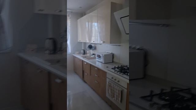 1000356677.mp4 1000356677.mp4