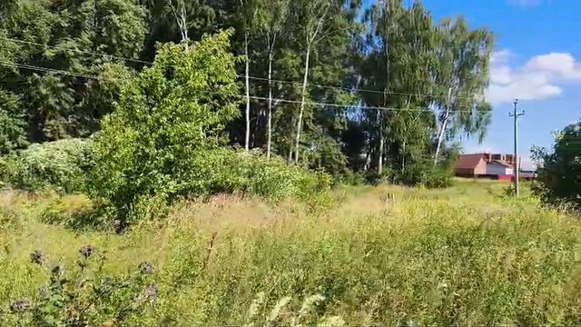 З/у с к.н. 50:28:0110210:859, расположенный по адресу: МО, г. о. Домодедово, д. Голубино