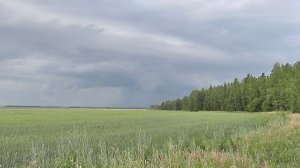 Коп.Нет монет,копаем металлолом.Любуемся природой.