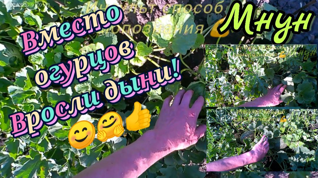 Садоводство