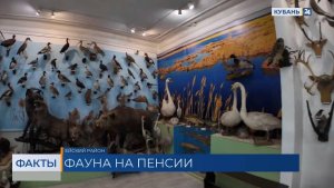 Зал дикой природы открыли в краеведческом музее в Ейском районе