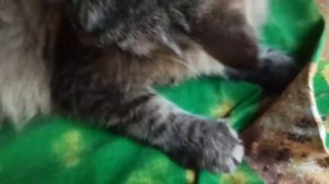 Ну, что... У нас все ровно никогда не бывает.  Что-то да случается. Причём каждый день.  Просто нет