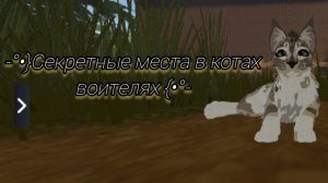 СЕКРЕТНЫЕ места в КОТАХ ВОИТЕЛЯХ!!!! Рассказываю как попасть в мини АМБАР!!!! 🐈⬛🌹💋