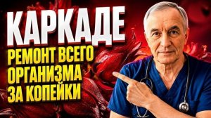 Как гибискускаркаде восстанавливает сосуды, печень и сахар в крови научный гид по применению