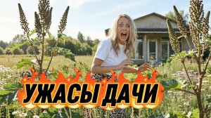 Как так можно?! Мы в шоке!