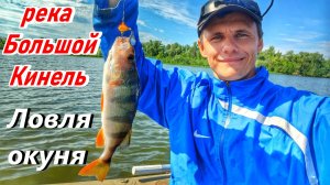 СПИННИНГ НА РЕКЕ БОЛЬШОЙ КИНЕЛЬ/РЫБАЛКА НА ХИЩНИКА/ЛОВЛЯ ОКУНЯ НА ТЕЙЛ-СПИННЕР/РЫБАЛКА В САМАРЕ