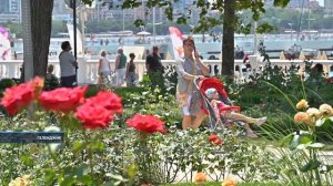Море, солнце, лето и тысячи гостей со всей России.