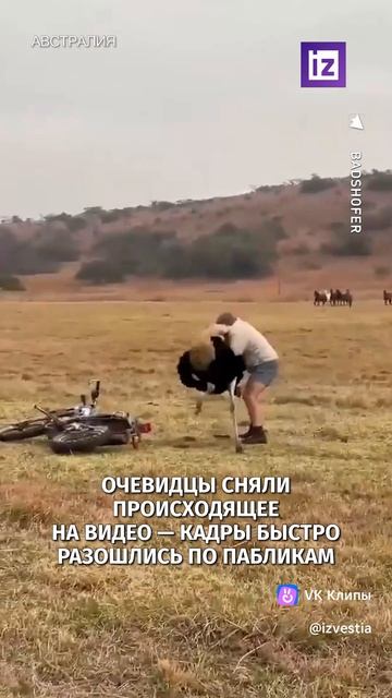 Австралия не для слабаков 😁 смотреть онлайн
