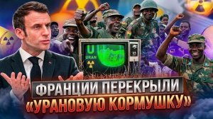 Энергетика на грани катастрофы Франция теряет уран из Нигера