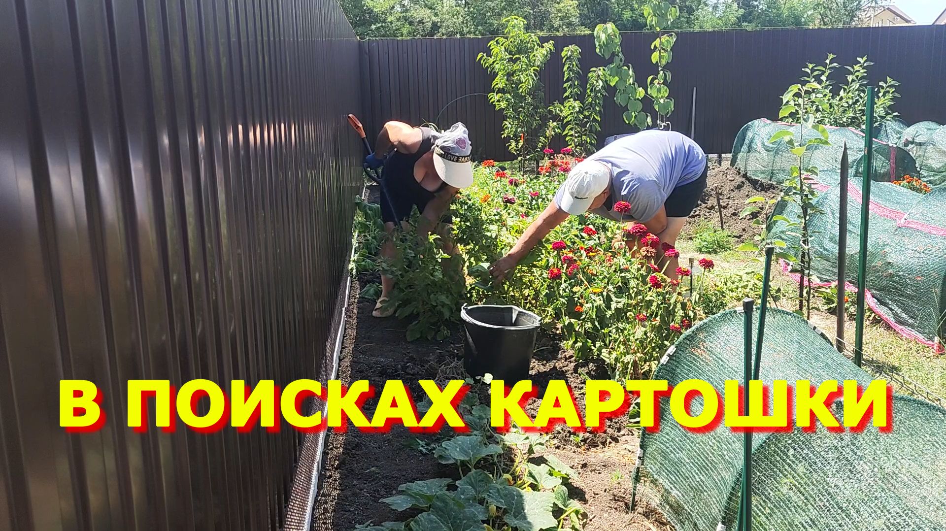 151. Копаем пока не спеклась, смотреть онлайн