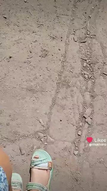 идём за LPS