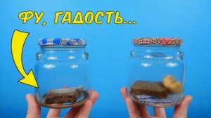 Прошло 10 месяцев! Эксперимент с поглотителем кислорода продолжается