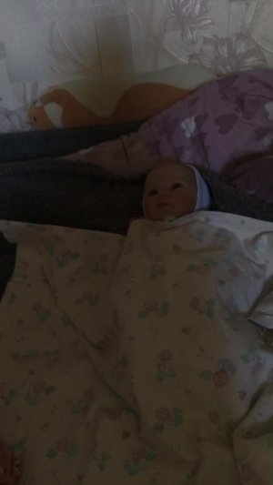 Реборн Илона