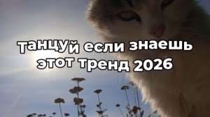 Танцуй если знаешь этот тренд 2026 года