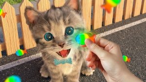 Приключенческие развивающие иг