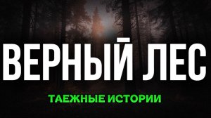 ВЕРНЫЙ ЛЕС